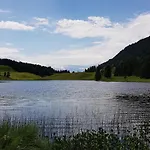 Tauglerei Bernstein In Den Zauberbergen *