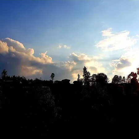 Tauglerei Bernstein In Den Zauberbergen Apartment