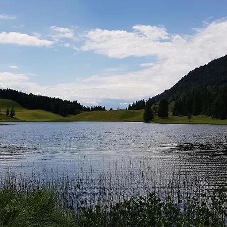 Tauglerei Bernstein In Den Zauberbergen *