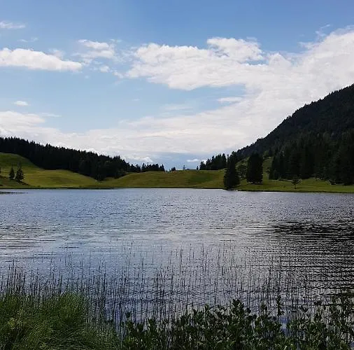 Tauglerei Bernstein In Den Zauberbergen *